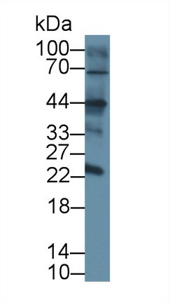 8588