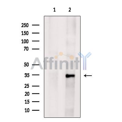 Валидация Affinity DF7671 - 19440