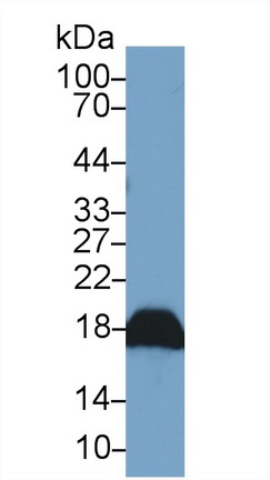 13676