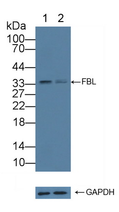 12211