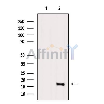 Валидация Affinity DF6715 - 18235
