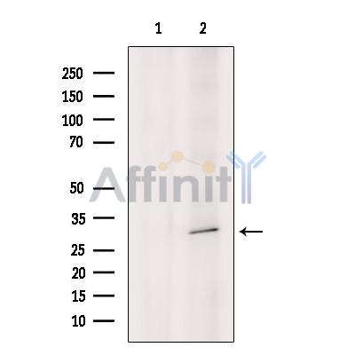 Валидация Affinity DF6387 - 17747