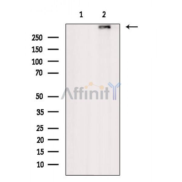 Валидация Affinity AF6591 - 3896