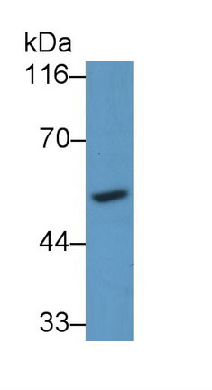 7659