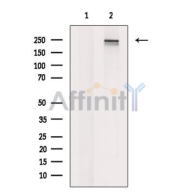 Валидация Affinity DF8752 - 20767
