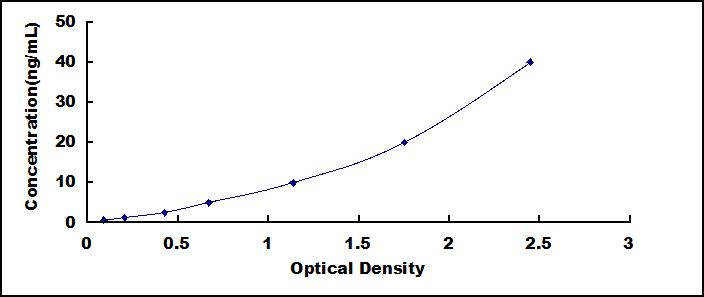 57016