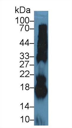 9688