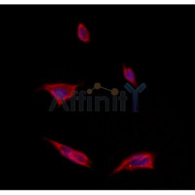 Валидация Affinity DF12413 - 6911