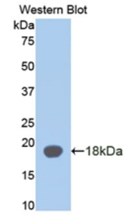 50108