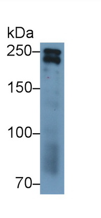 39422