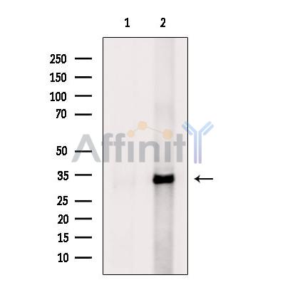 Валидация Affinity DF6674 - 18162