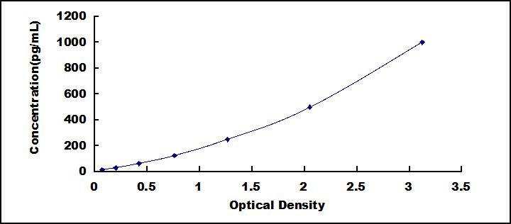 35606