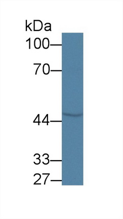 8701