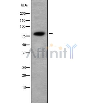 Валидация Affinity DF9251 - 21680
