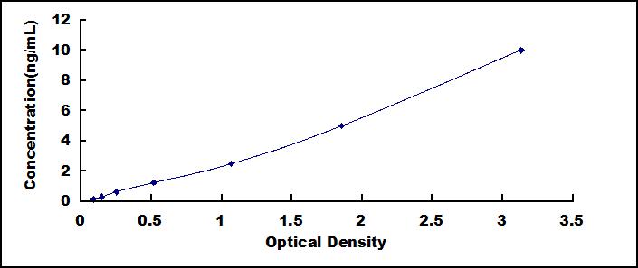 65125