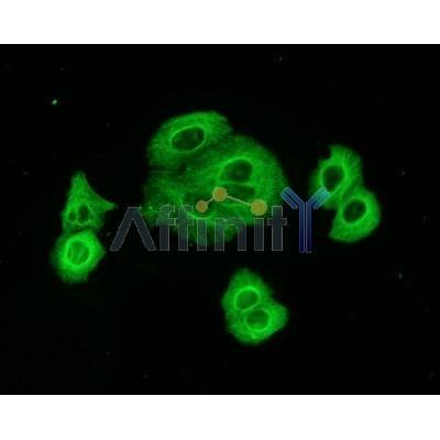 Валидация Affinity T0023 - 23068