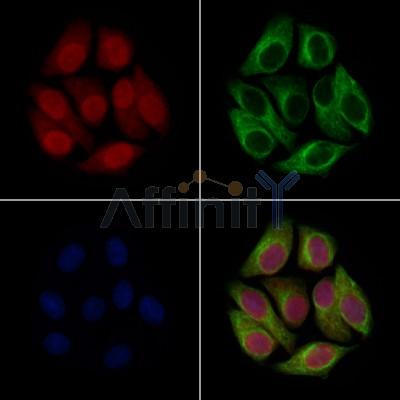 Валидация Affinity DF13482 - 8851