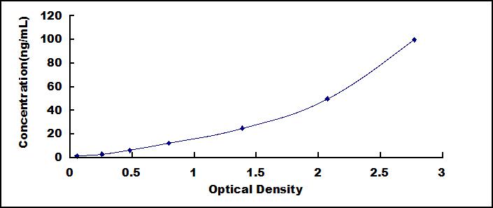 61039