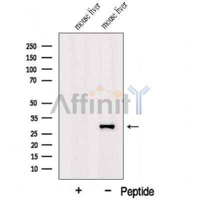 Валидация Affinity DF12629 - 7265