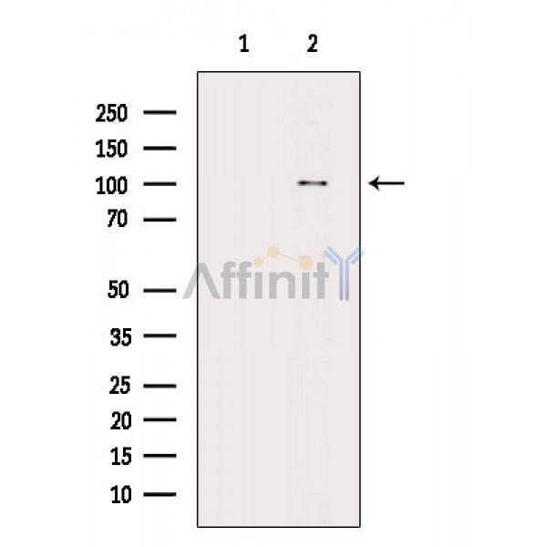 Валидация Affinity DF2816 - 13560