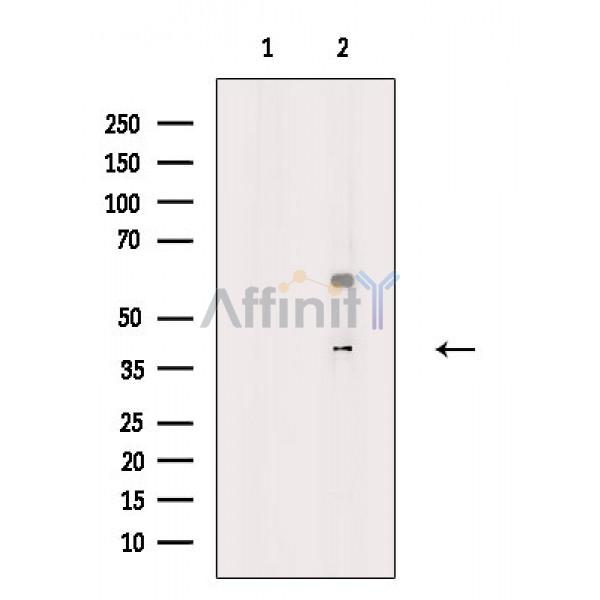 Валидация Affinity DF3973 - 15193
