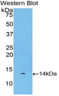47625