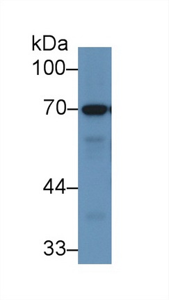 9213
