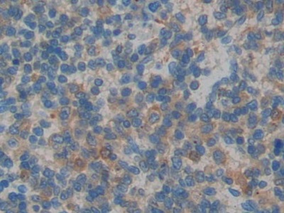 16053