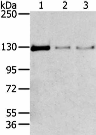 Валидация Elabscience E-AB-17454