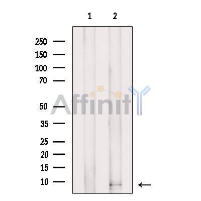 Валидация Affinity DF8943 - 21104