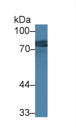 14342