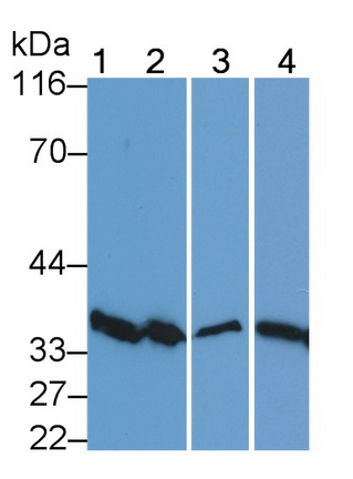 13205