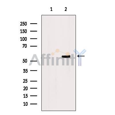 Валидация Affinity DF6805 - 18378