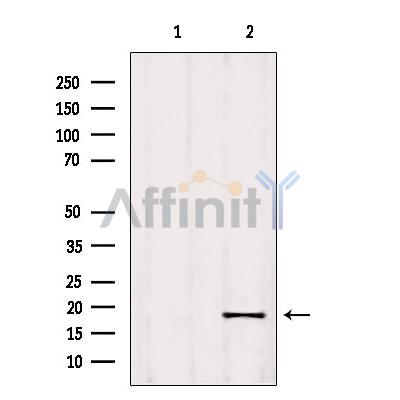 Валидация Affinity DF9186 - 21556