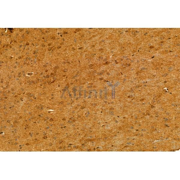 Валидация Affinity DF12088 - 6188