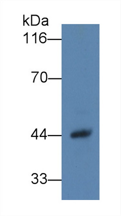 10659
