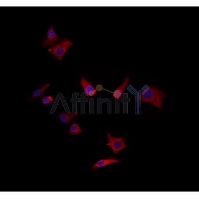 Валидация Affinity DF4640 - 16286