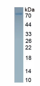 63573