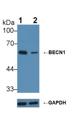 8334