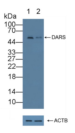 12262