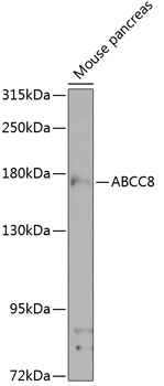 Валидация Elabscience E-AB-92872