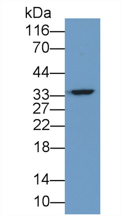 59813