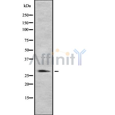 Валидация Affinity DF8360 - 20221
