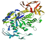 Amylase Alpha 2, Pancreatic (AMY2)