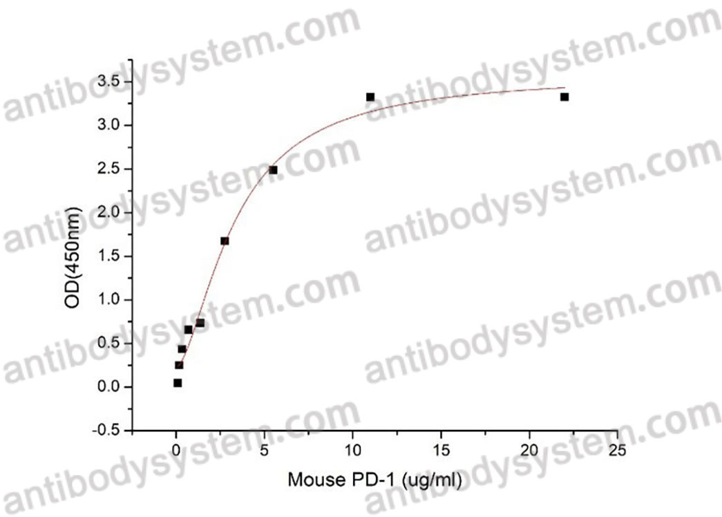 Валидация активности AntibodySystem AMJ70101