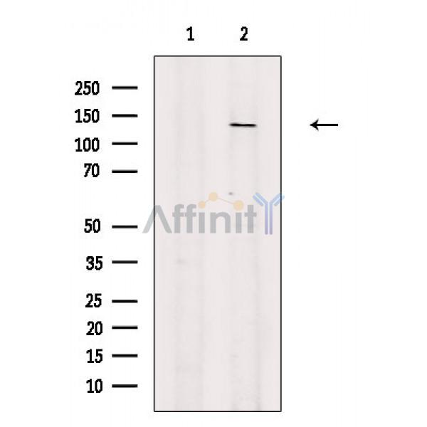 Валидация Affinity DF2627 - 13315