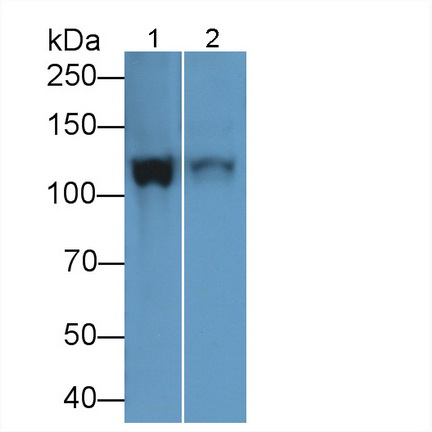 17400