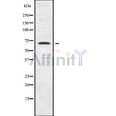 Валидация Affinity DF10088 - 5577