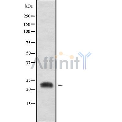 Валидация Affinity DF10157 - 5686