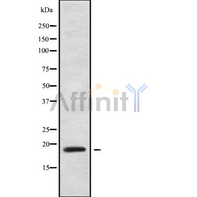 Валидация Affinity DF10045 - 5505